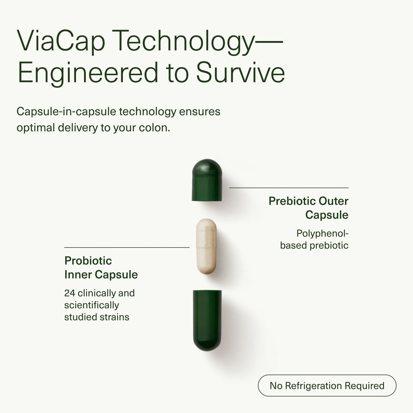 DS-01® Daily Synbiotic-- Prebiotic and Probiotic for Women & Men - Digestive Health, Gut Health, Immune Support, Bloating & Constipation Relief - Vegan & Shelf-Stable - 60 Capsules (30-Day Supply)